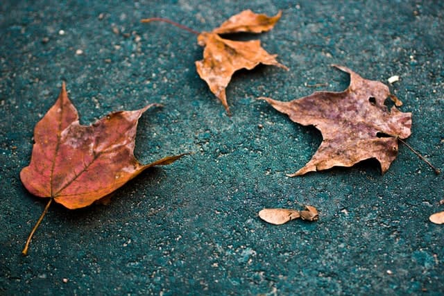 Photo by Joseph Greve on Unsplash